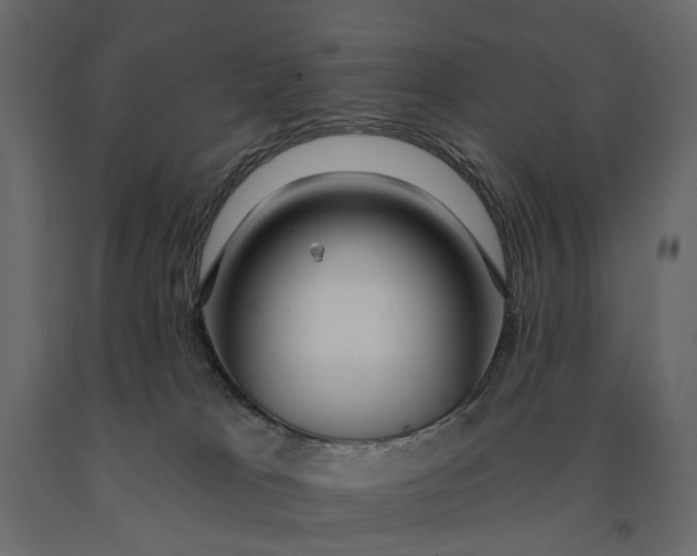 X0000091090037200708271305