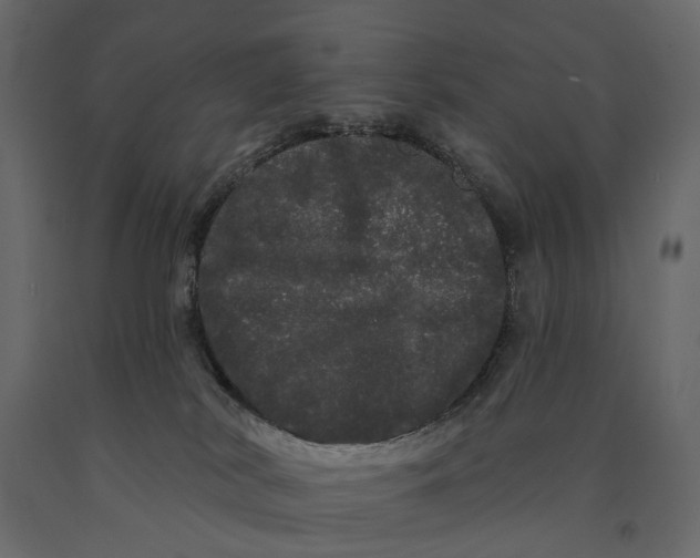 X0000091090038200708271305