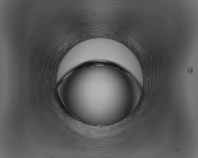 X0000091090039200708271305