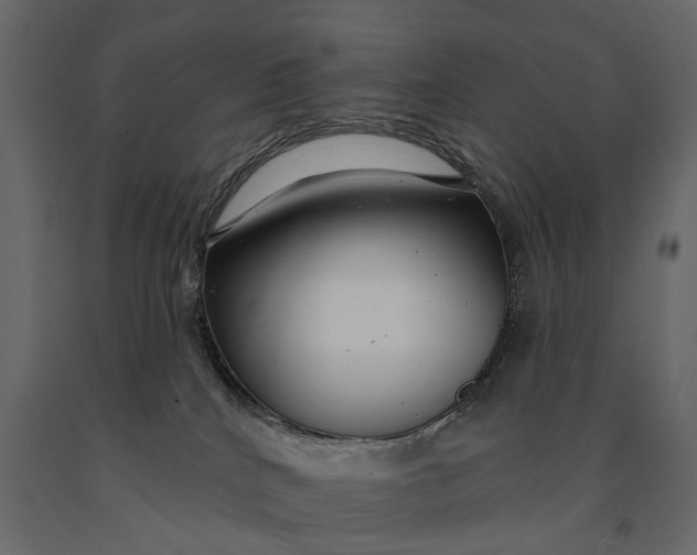 X0000091090040200708271305