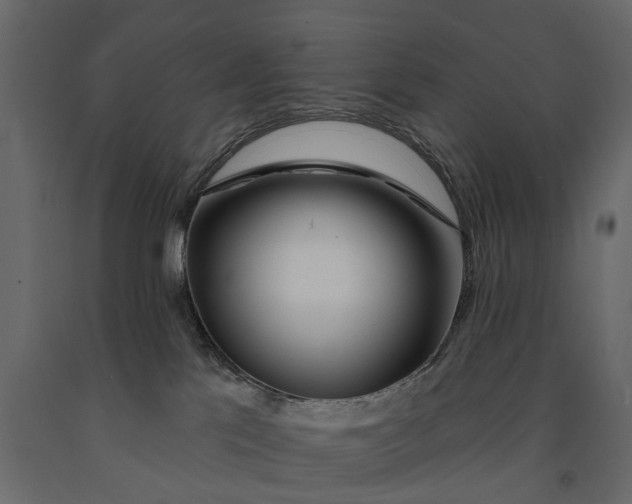 X0000091090041200708271305