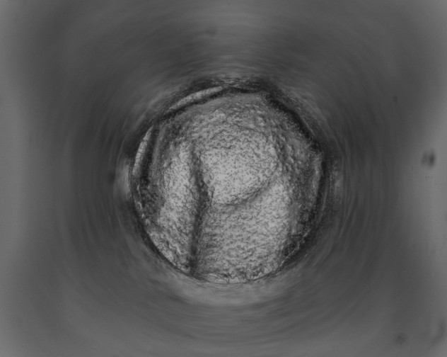 X0000091090042200708271305