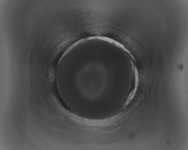 X0000091090043200708271305