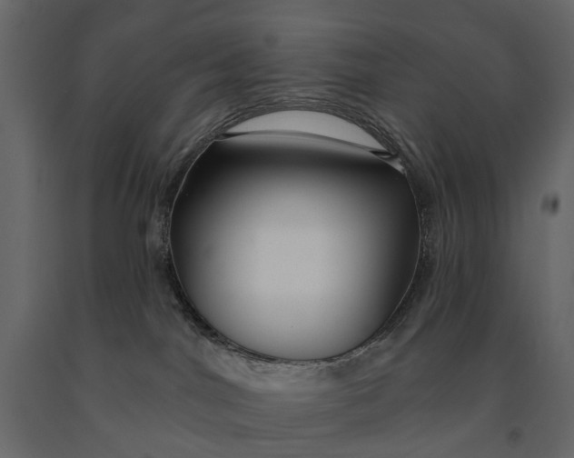 X0000091090044200708271305