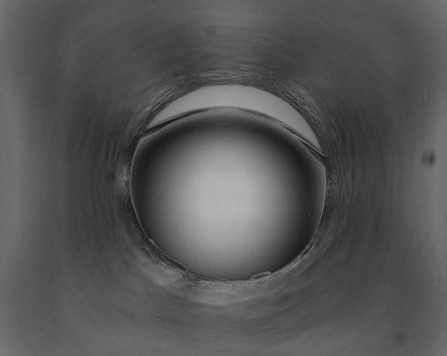 X0000091090045200708271305