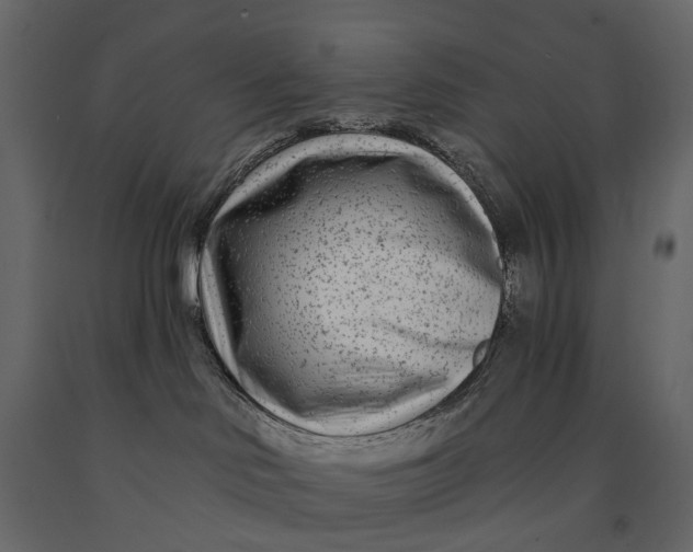 X0000091090046200708271305