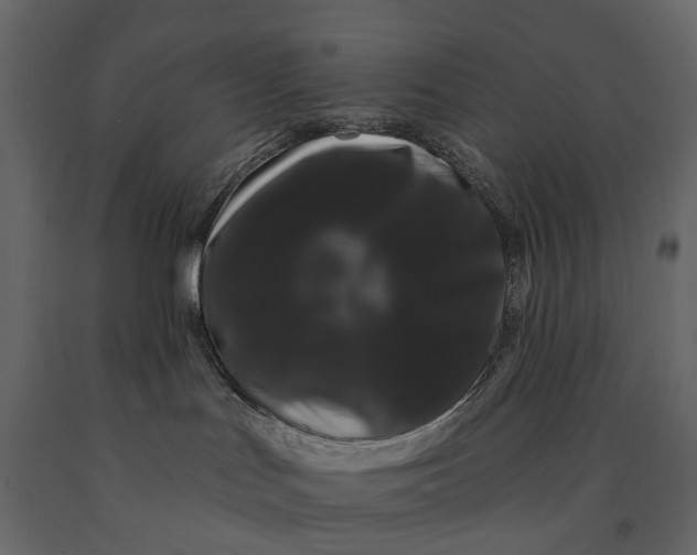 X0000091090047200708271305