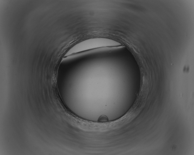 X0000091090048200708271305