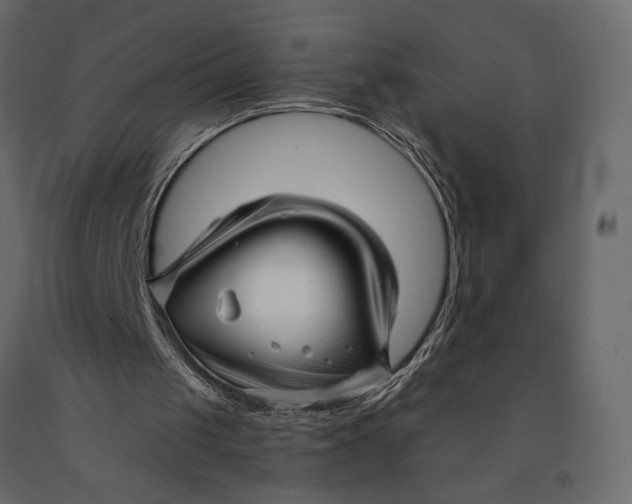 X0000091090049200708271304