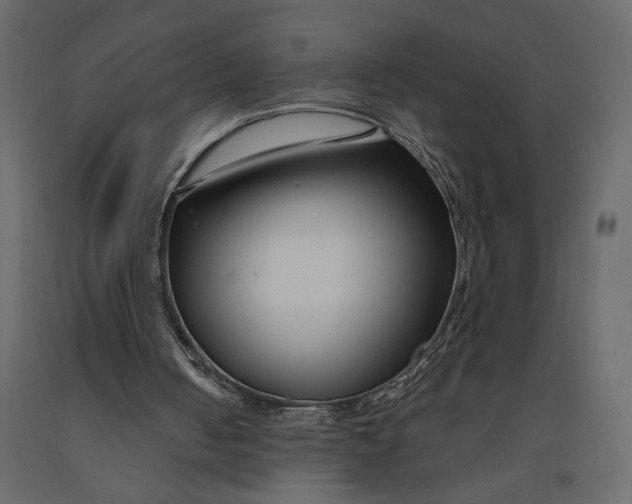 X0000091090050200708271304