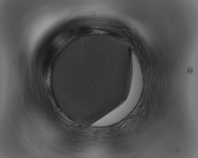 X0000091090052200708271304