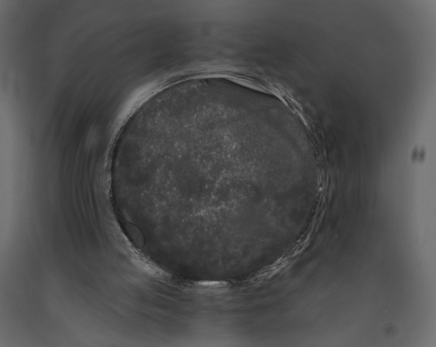 X0000091090053200708271304