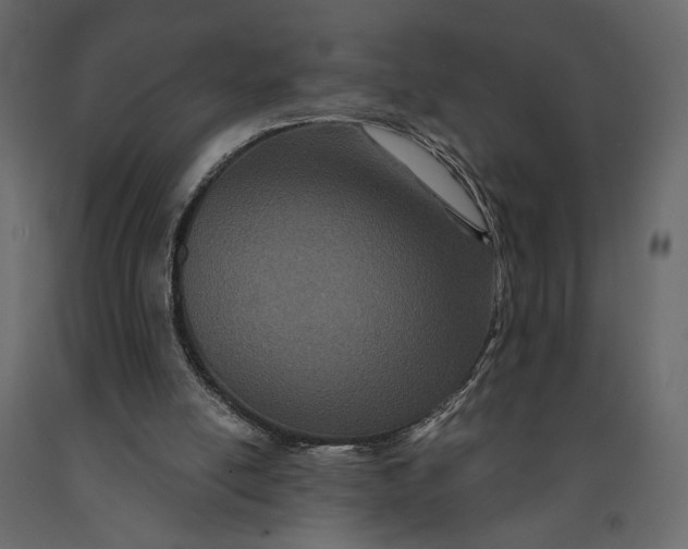 X0000091090054200708271304