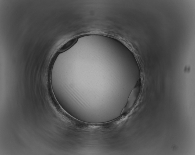 X0000091090055200708271304