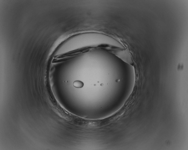 X0000091090056200708271304