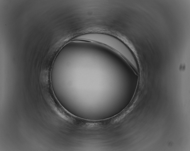 X0000091090057200708271304