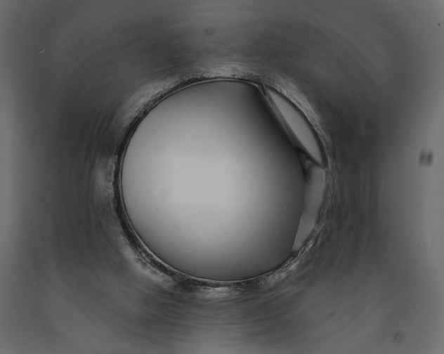 X0000091090058200708271304