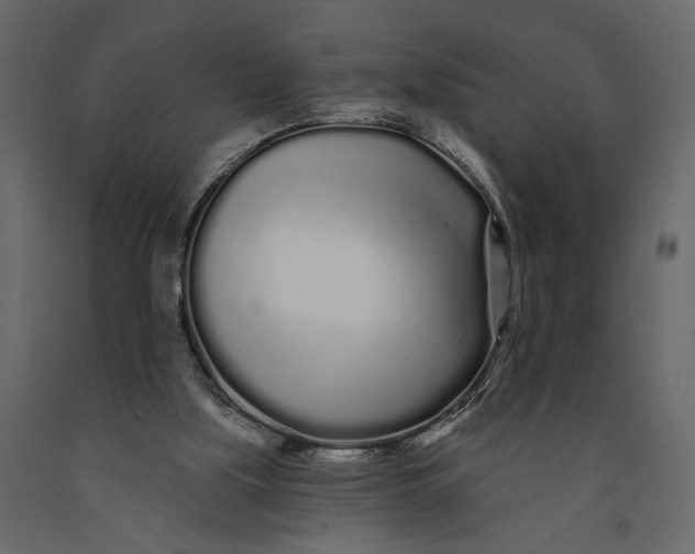 X0000091090059200708271304