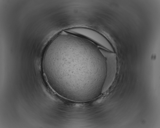 X0000091090060200708271304