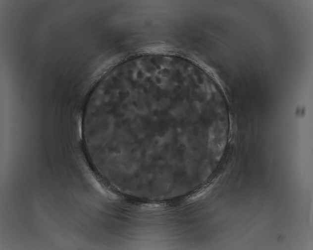 X0000091090061200708271304