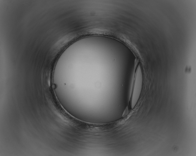 X0000091090062200708271304