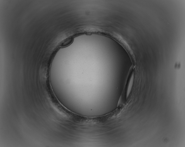 X0000091090063200708271304