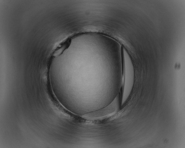 X0000091090064200708271304