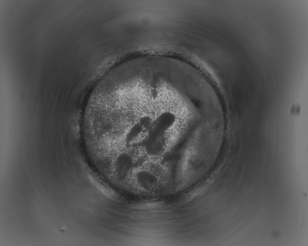 X0000091090065200708271304