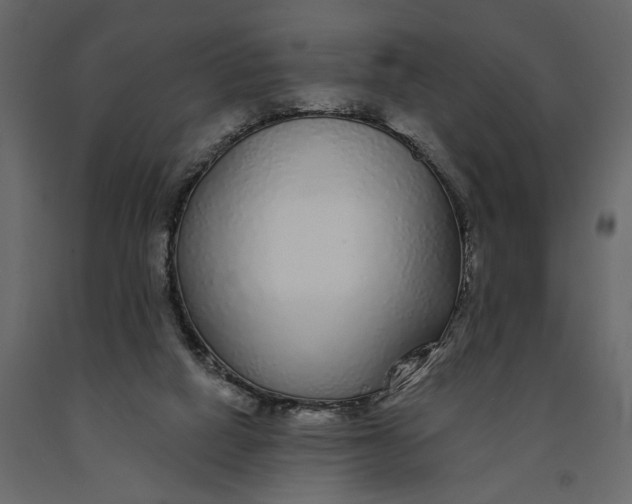 X0000091090066200708271304