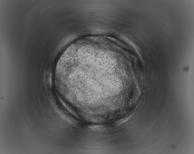 X0000091090067200708271304