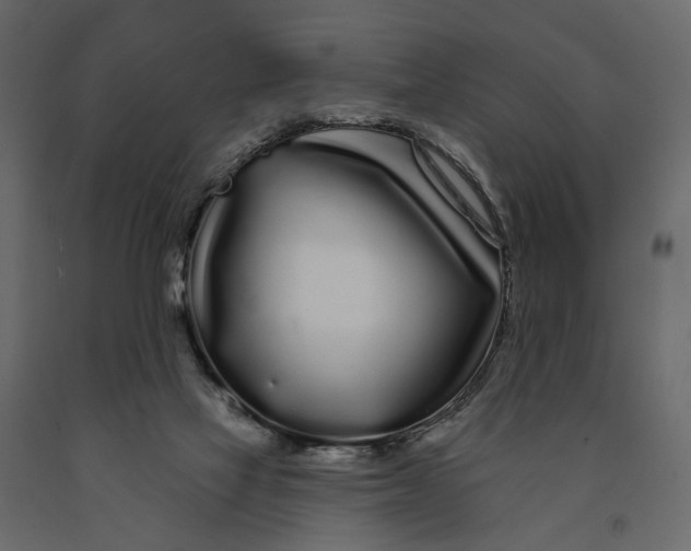 X0000091090069200708271304