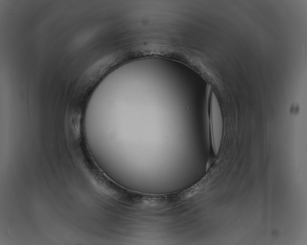 X0000091090070200708271304