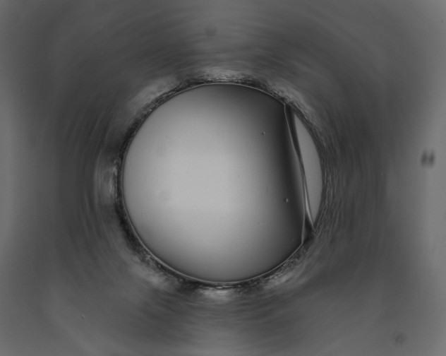 X0000091090071200708271304