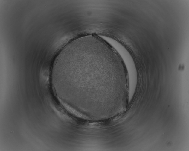 X0000091090072200708271304