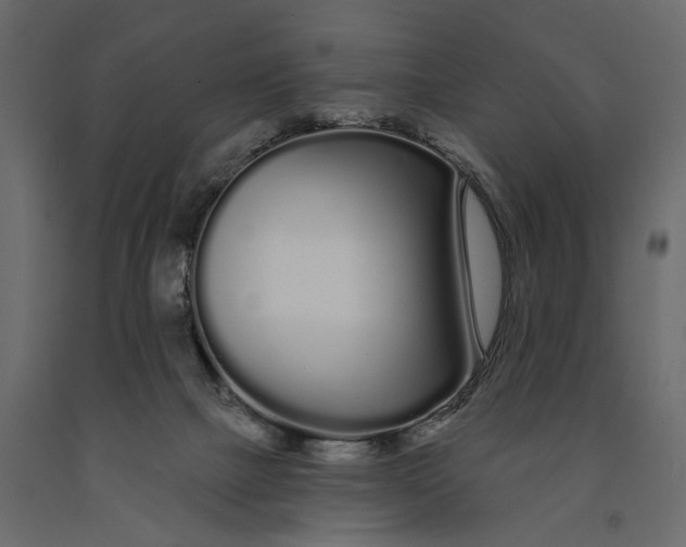 X0000091090073200708271304