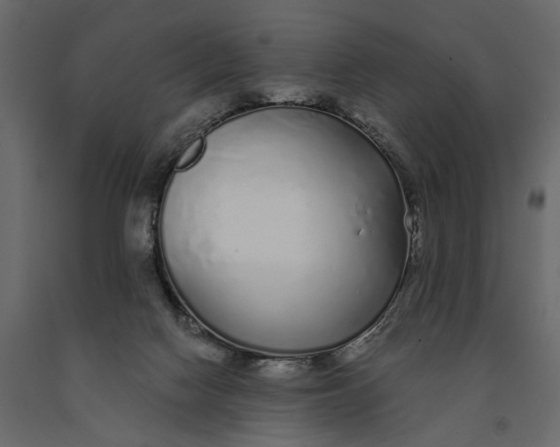 X0000091090074200708271304