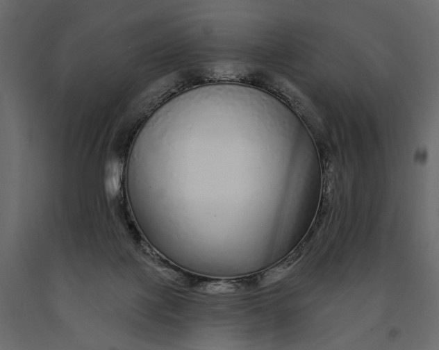 X0000091090075200708271304