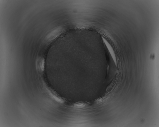 X0000091090076200708271304