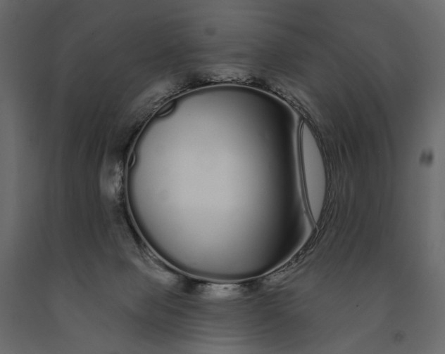 X0000091090077200708271304