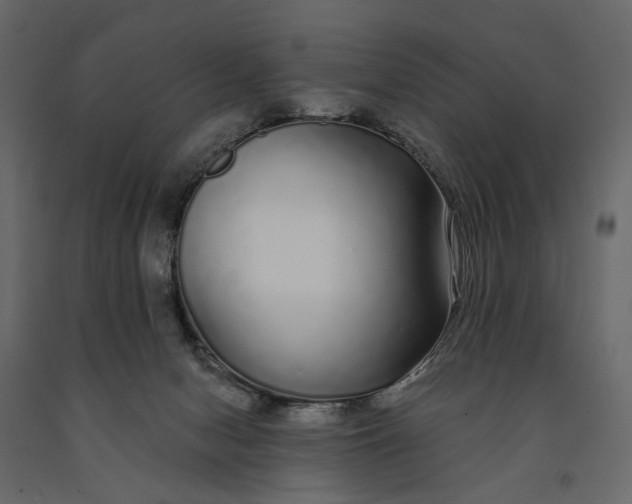 X0000091090078200708271304