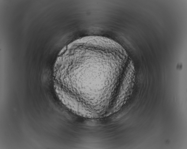 X0000091090079200708271304