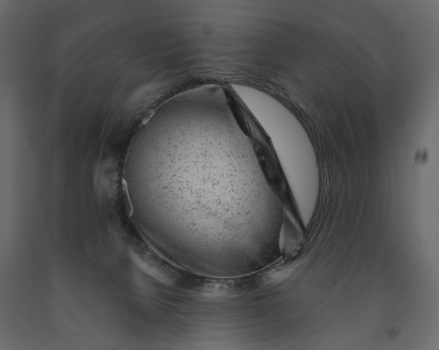 X0000091090080200708271304