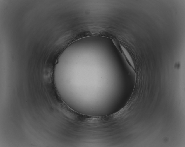 X0000091090082200708271304