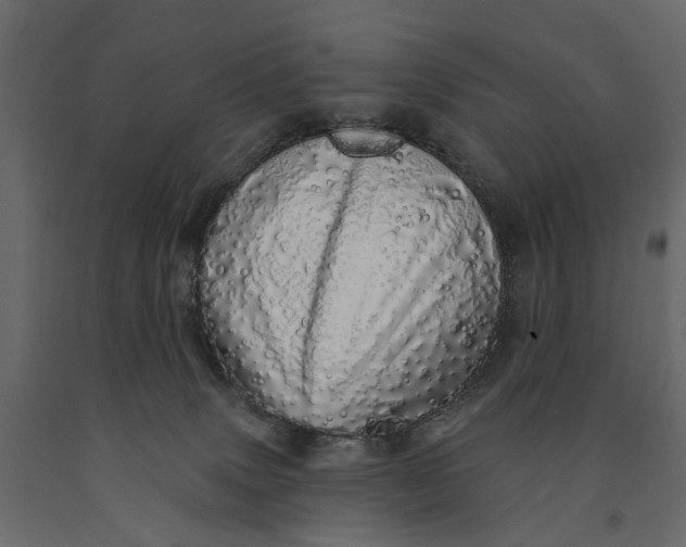 X0000091090083200708271304