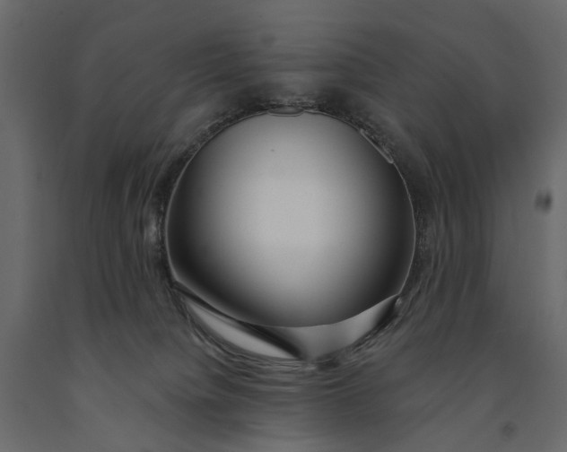 X0000091090084200708271304