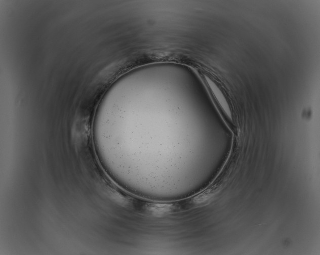 X0000091090085200708271304