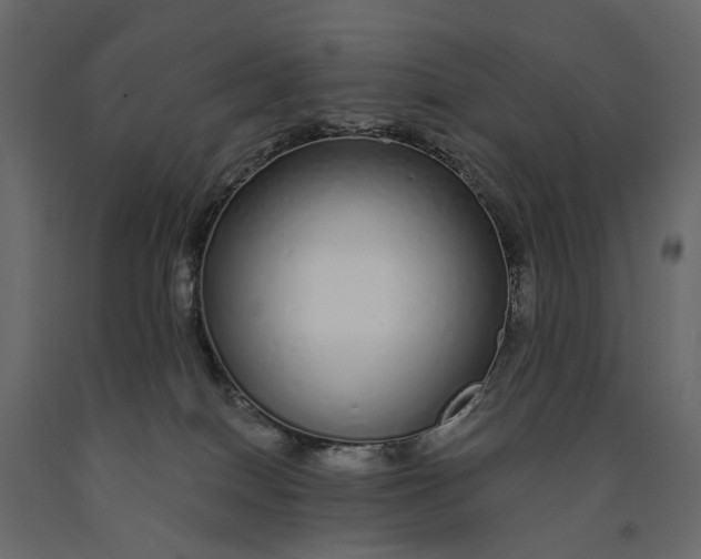 X0000091090086200708271304