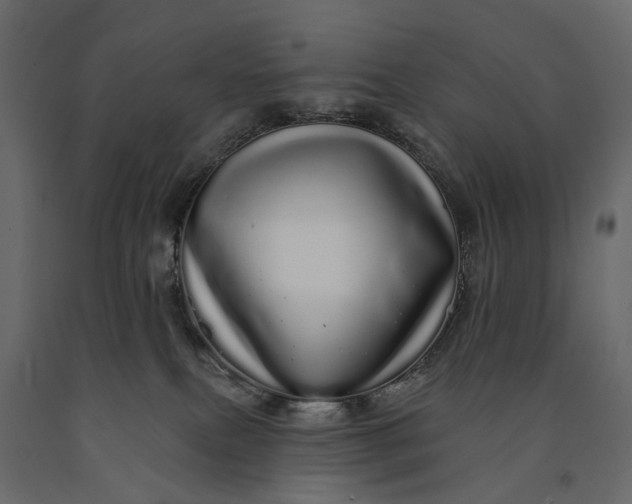 X0000091090087200708271304