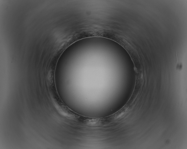 X0000091090088200708271304