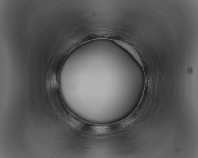 X0000091090089200708271304